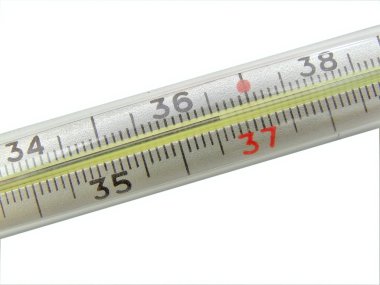 Thermometer clipart