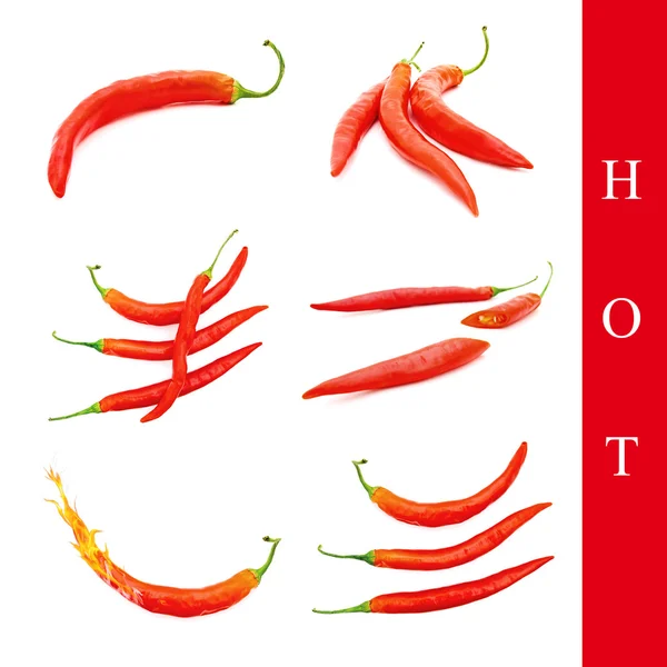 Conjunto de pimenta quente — Fotografia de Stock