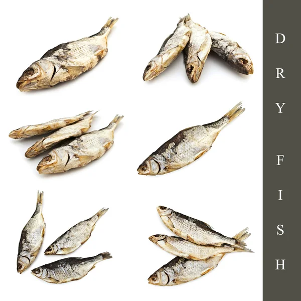 Sada suchých ryb — Stock fotografie