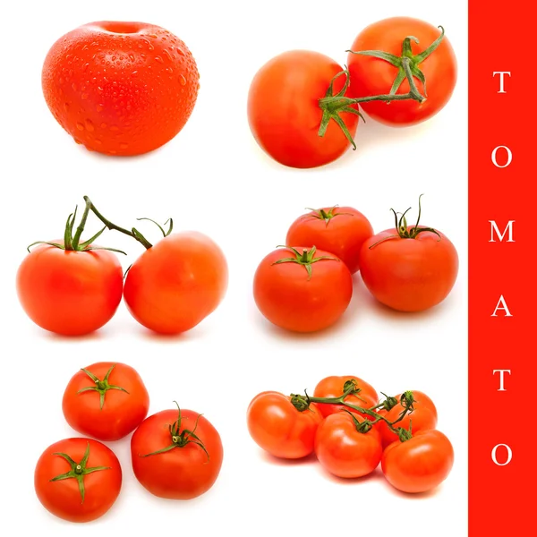 Set di pomodori — Foto Stock