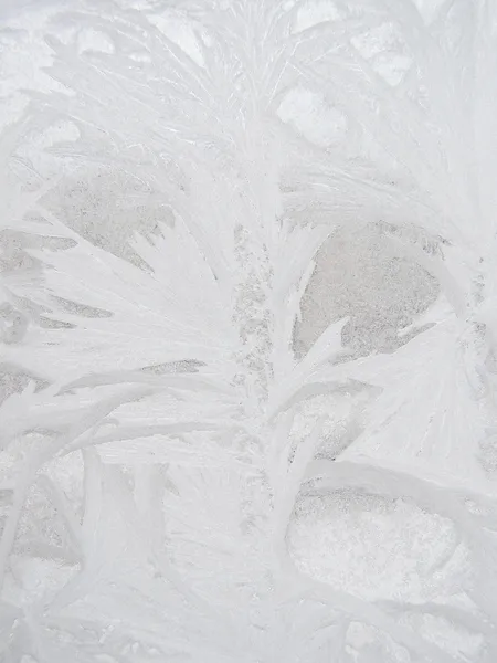 霜冬のウィンドウ — ストック写真