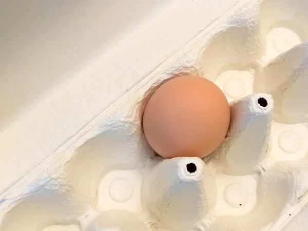 Huevo único — Foto de Stock