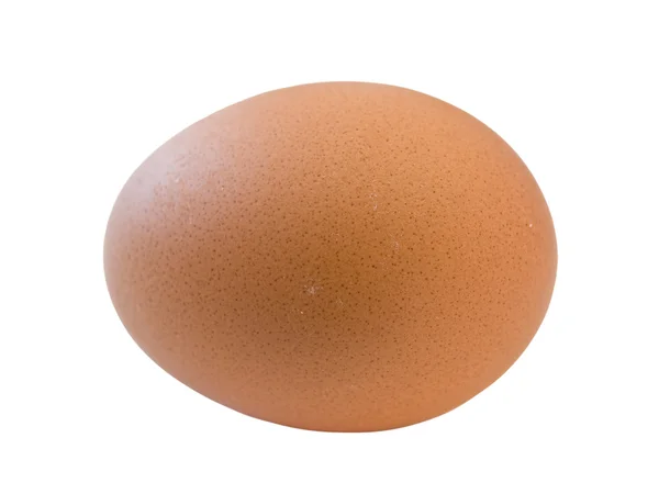 Ізольована яйце — стокове фото