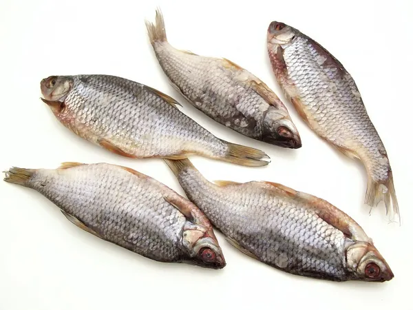 Suché ryby — Stock fotografie