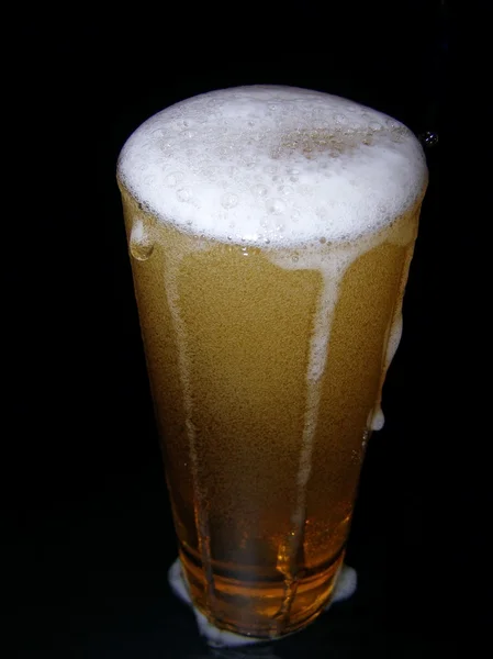 Bier mit Kopf — Stockfoto
