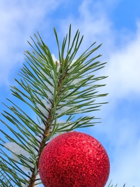 Weihnachtsbaum vor blauem Himmel — Stockfoto
