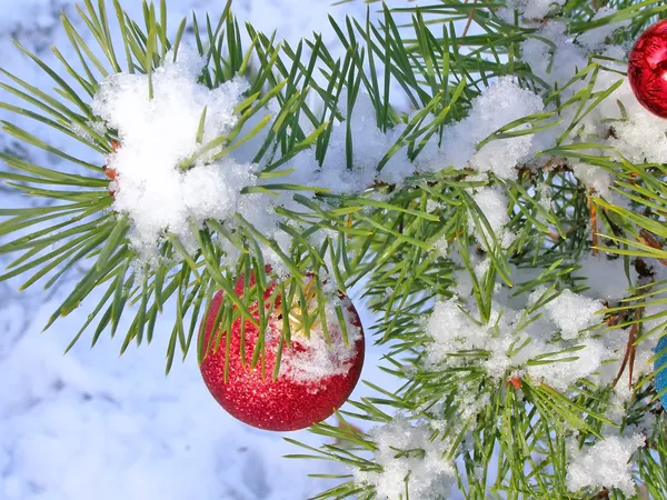 Weihnachtsbaum unter Schnee — Stockfoto
