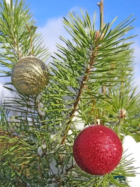 Árbol de Navidad y cielo — Foto de Stock