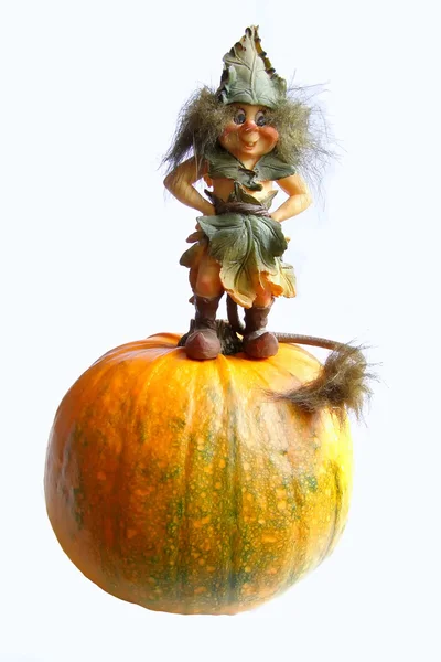 Halloween gnome — Stockfoto