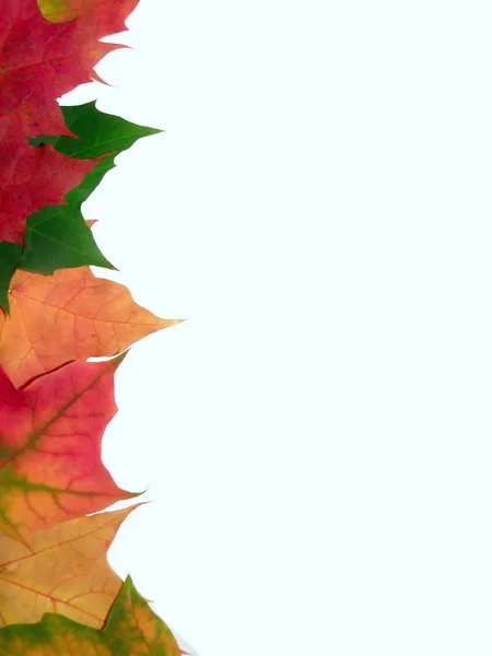 Höstens gränsen — Stockfoto