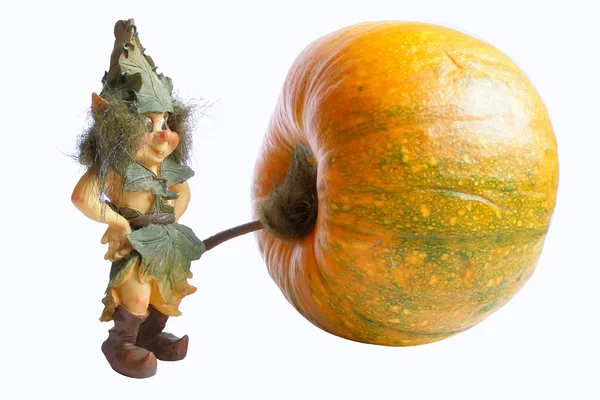 Фігурка gnome — стокове фото