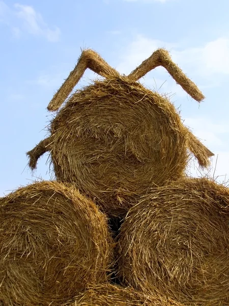 Sheaf of hay — Stock Photo, Image