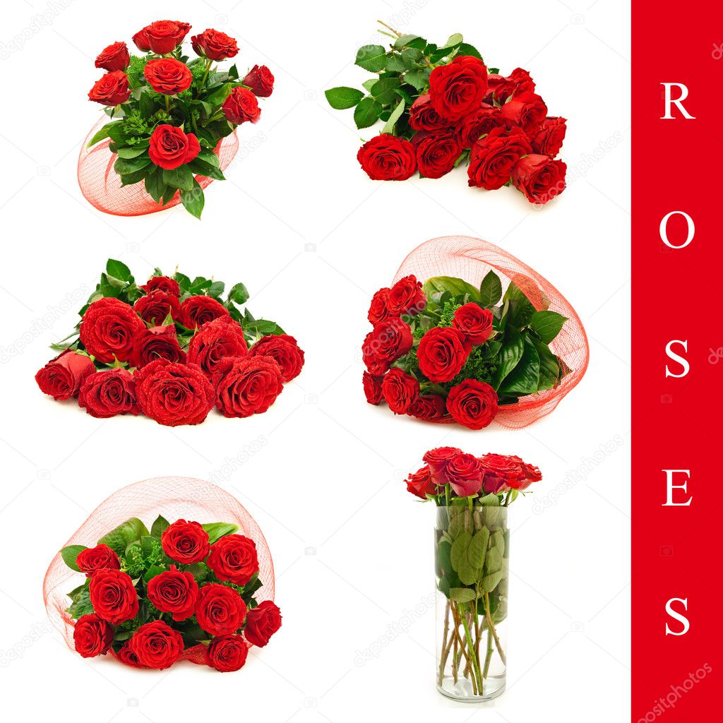 Roses set