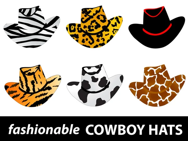 Cappelli da cowboy — Vettoriale Stock