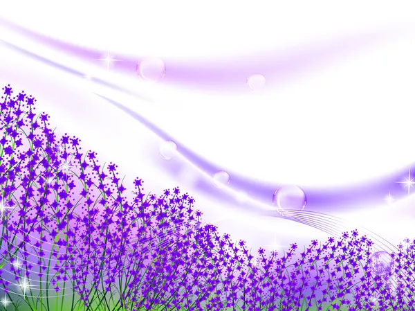 Lavender inspiration — Stock Vector