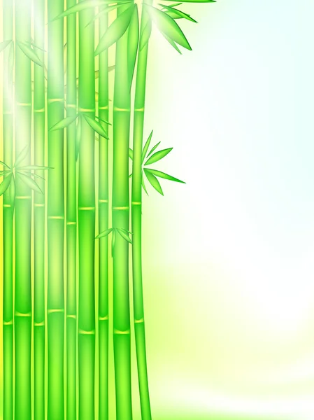 竹の森 — ストックベクタ