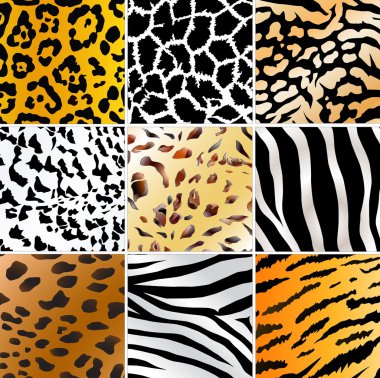 Wild patterns clipart