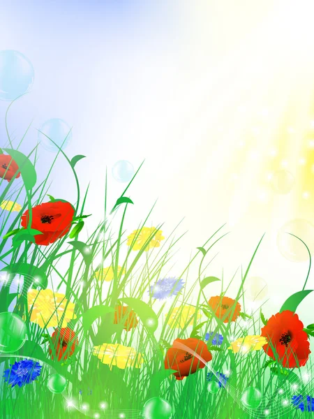 Prairie de fleurs d'été — Image vectorielle