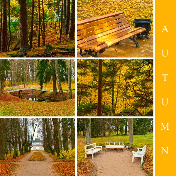 Autumn set — Stock Photo, Image