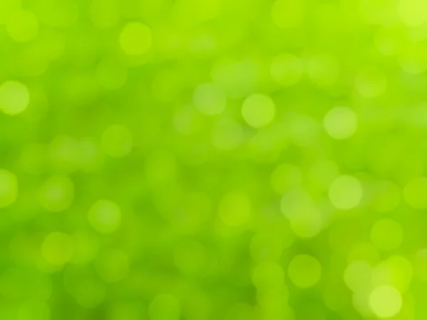 Боке зелений фон — стокове фото