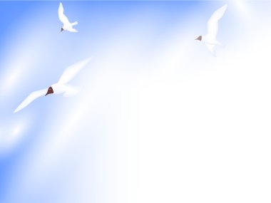 Seaguls in the sky clipart