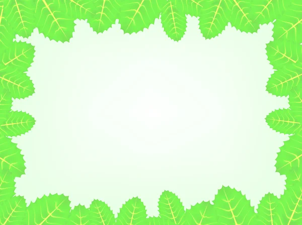 나뭇잎 프레임 — 스톡 벡터