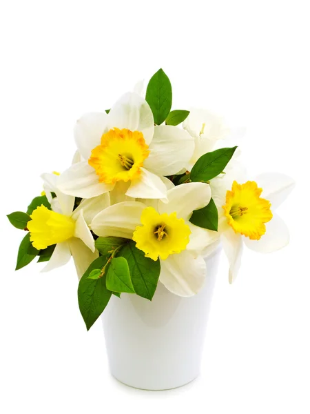 Narcissus boeket — Stockfoto