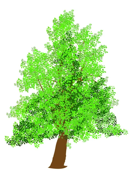 Δέντρο — Διανυσματικό Αρχείο