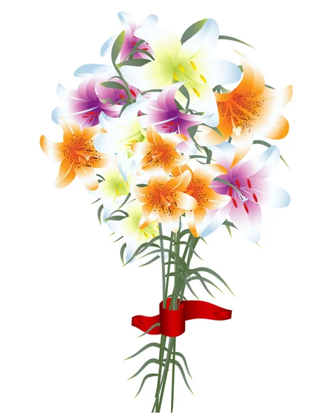 Lily bouquet — Stock Vector