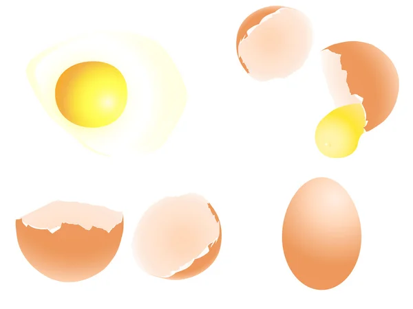 Eieren — Stockvector