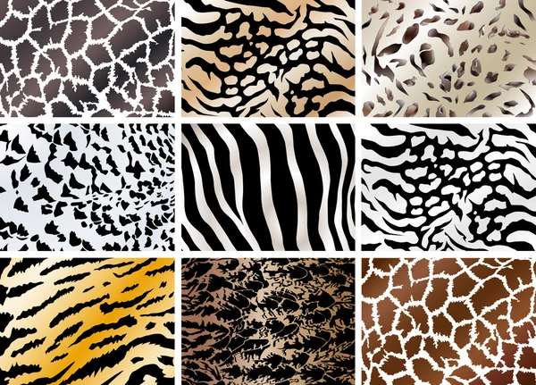 Set of animals skin backgrounds — Stock Vector