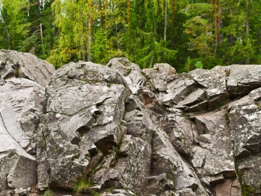 Rocks in the forest clipart