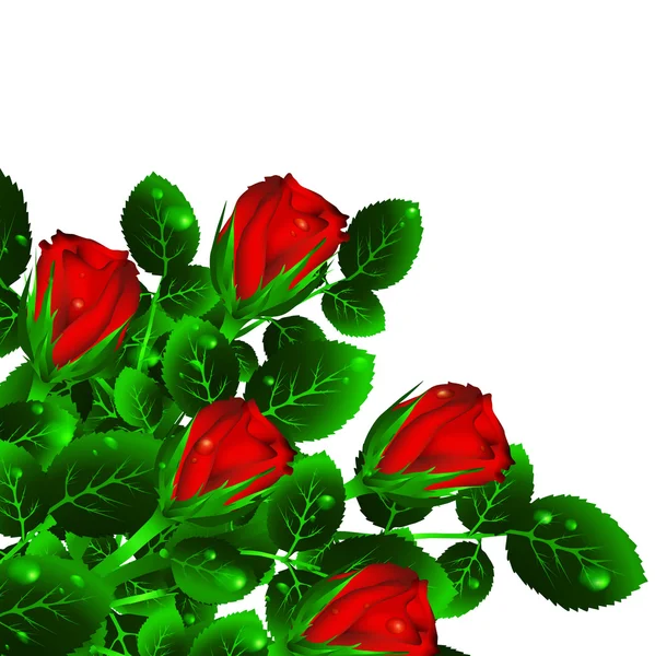 Τριαντάφυλλα — Διανυσματικό Αρχείο