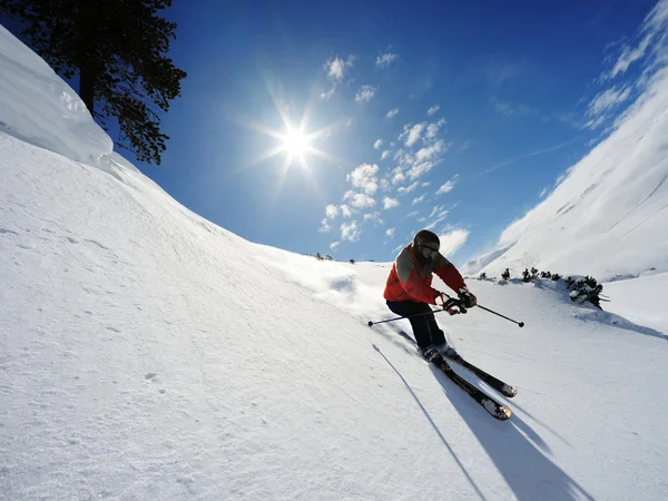 高山のスキーヤー — ストック写真