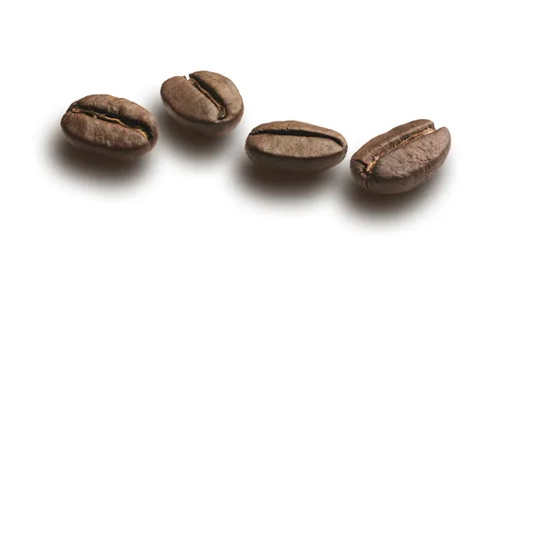 Na białym tle ziaren kawy — Zdjęcie stockowe