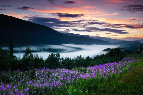 Vackra Norge natur — Stockfoto
