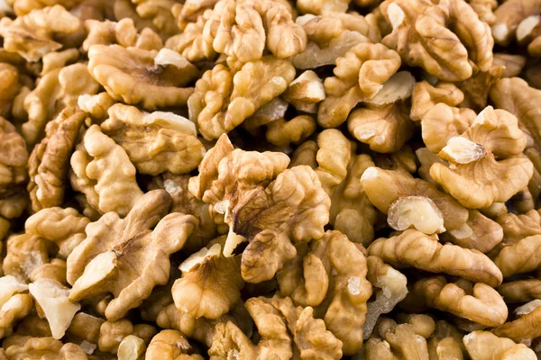 stock image Walnuts