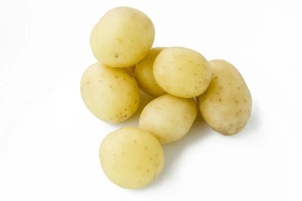 Unga potatis — Stockfoto