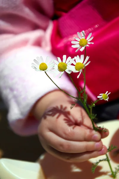 Χέρι του μικρού κοριτσιού με λουλούδι — Φωτογραφία Αρχείου