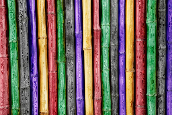 Renkli bambu — Stok fotoğraf