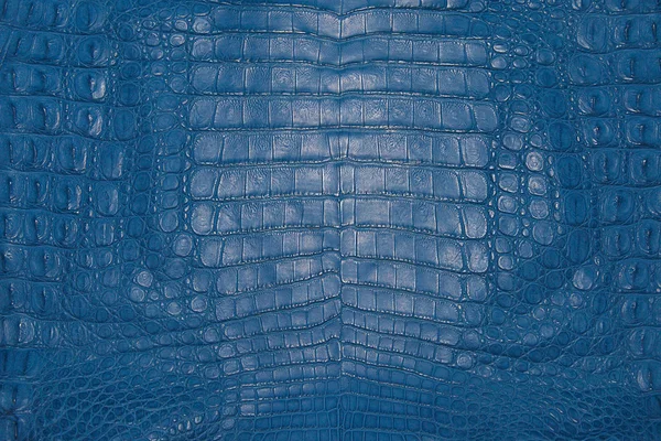 Krokodille hud tekstur - Stock-foto