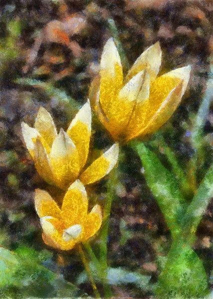 Ilustracja, trzy żółte tulipany — Zdjęcie stockowe