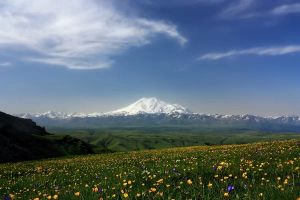 Cáucaso do Norte. Vista panorâmica do Elbrus e do principal rato caucasiano Imagem De Stock