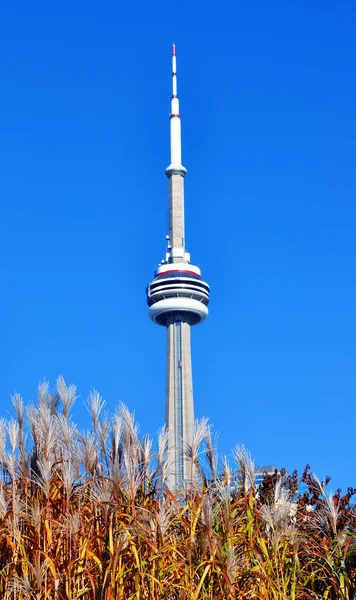 在多伦多的加拿大塔 — 图库照片