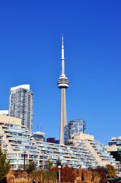 Downtown CN Tower visning - Stock-foto