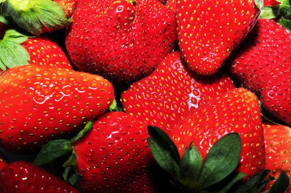 Strawberry background Stock Picture