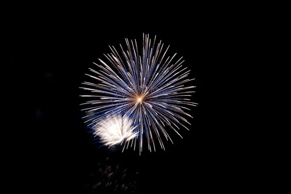 stock image Holiday Salute, fireworks in the night s