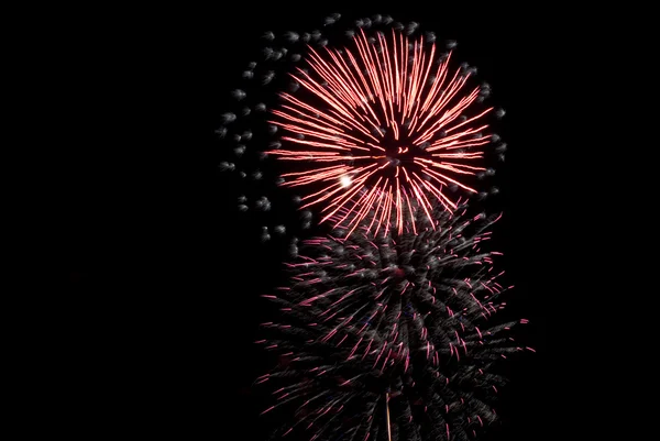 Holiday Salute, fireworks in the night s Stock Image
