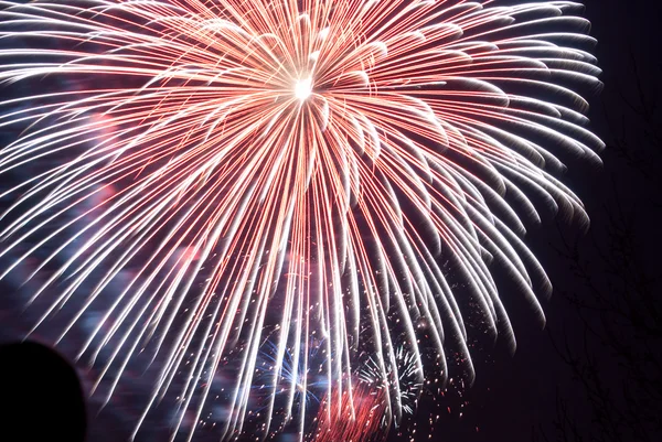 Vacanze Salute, fuochi d'artificio nella notte s Fotografia Stock