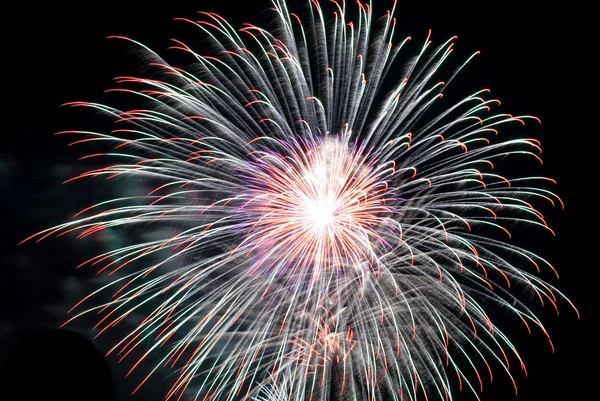 Vacanze Salute, fuochi d'artificio nella notte s Foto Stock Royalty Free
